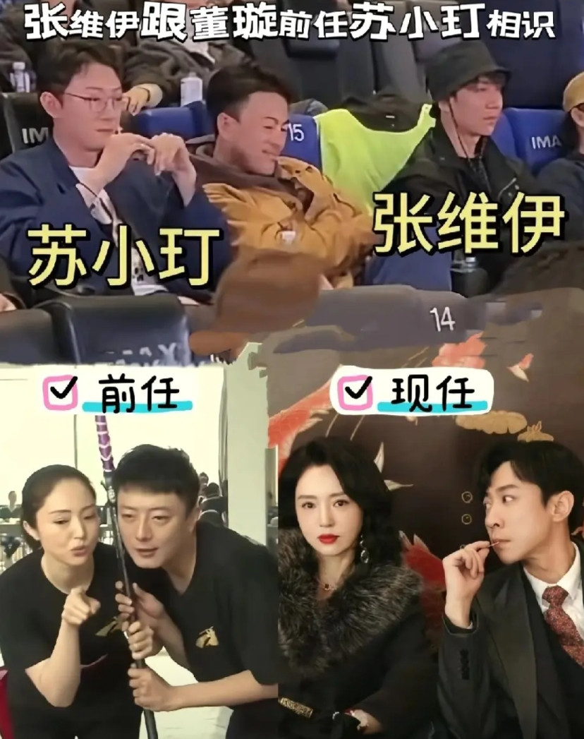 应该董璇被苏小玎父母嫌弃，不想找有婆婆家庭，张维伊正符合。前任一看就是正常