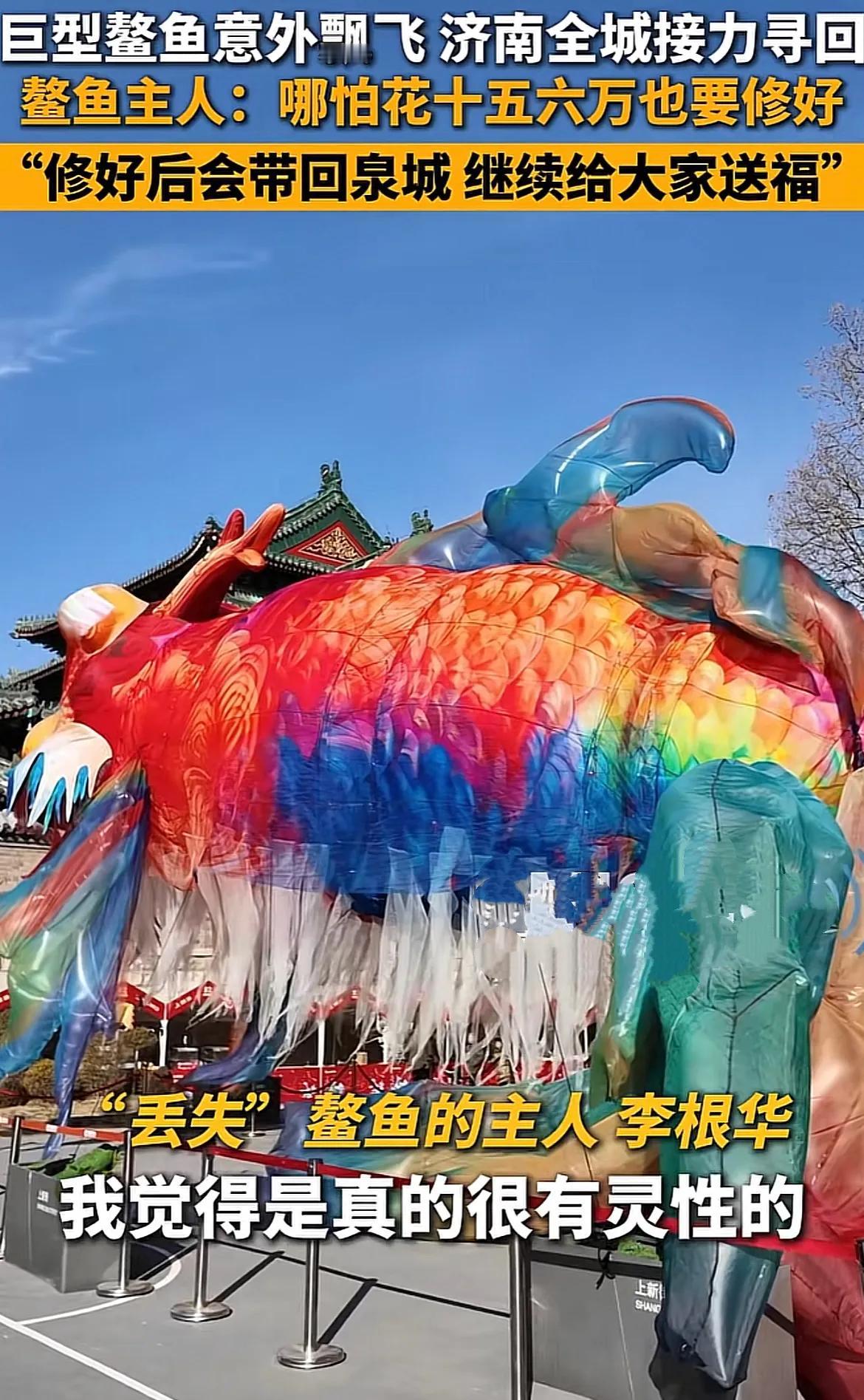 山东济南，飞走鳌鱼的主人透露，鳌鱼破损严重，修复需要十五六万，但是他不惜代价，也