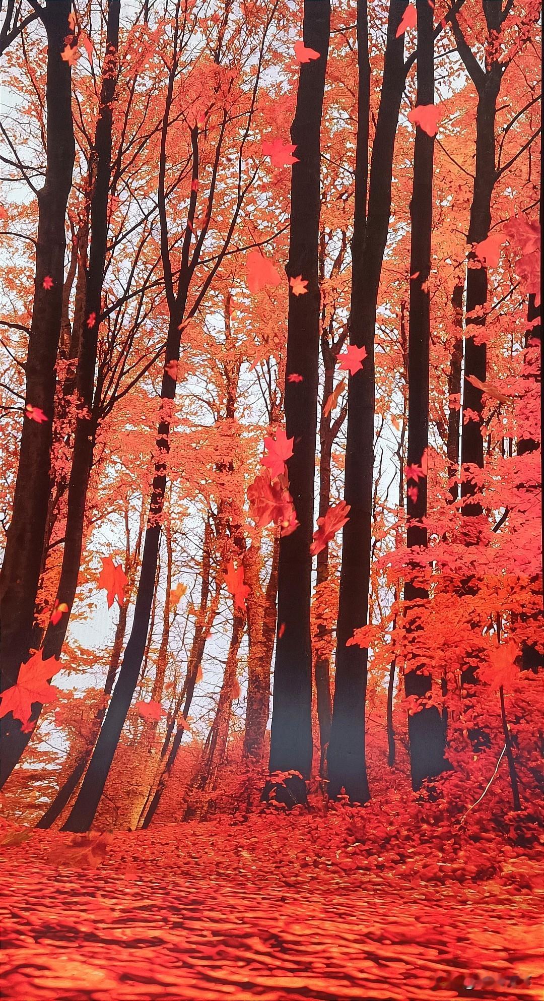 急公好义、助人为乐的善举处处可见，这就是我们东北人刻在骨子里的“社会性格”。