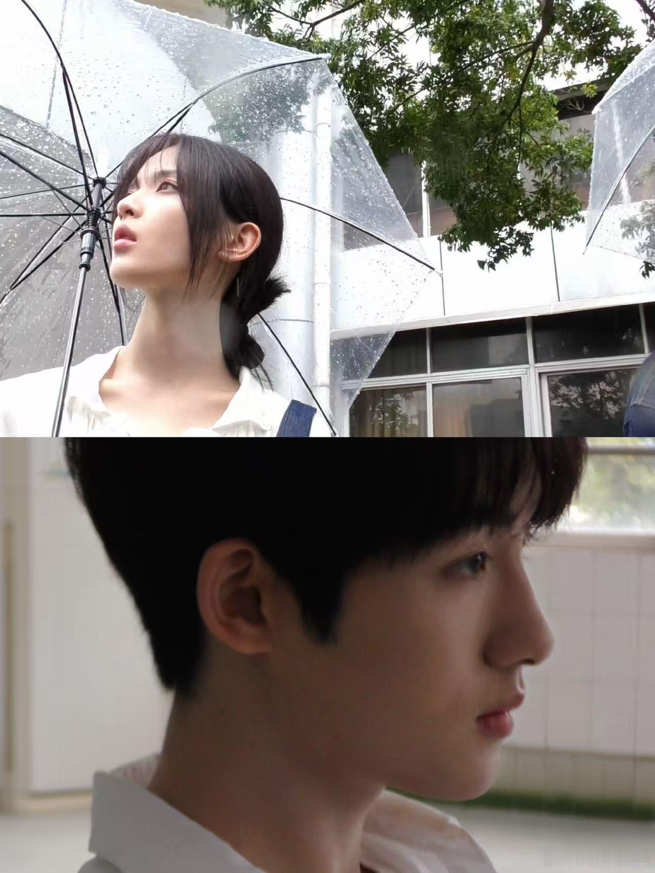 猫的树尝试了和之前不一样的拍摄方式猫的树发了杨超越董思成新物料猫的树说《今天是太