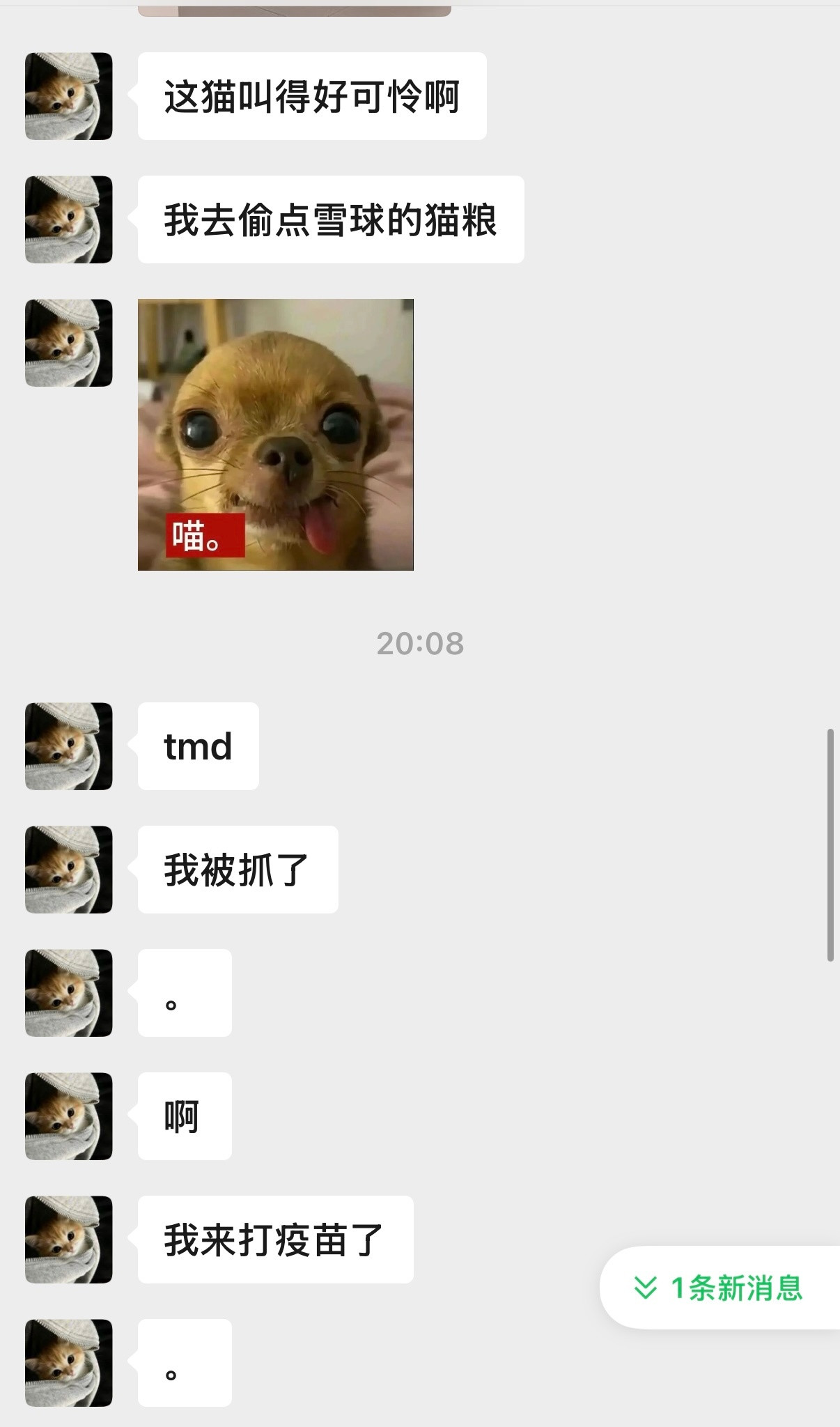 我玩了两局王者荣耀万象棋我妹妹就被流浪猫抓了...其实我觉得不用打狂犬疫苗，我以