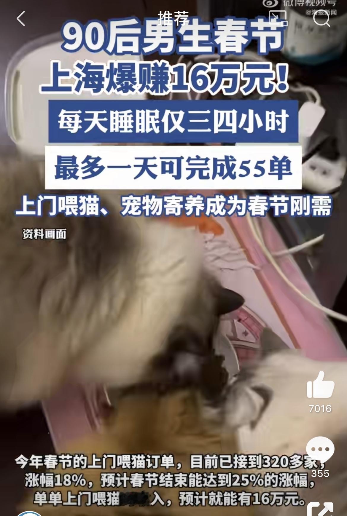 一个上海的小伙子做上门喂猫的生意，一个春节下来，据说能赚16万，这数字一出来，大
