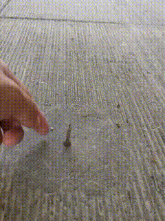 原来这就是爆胎的原因