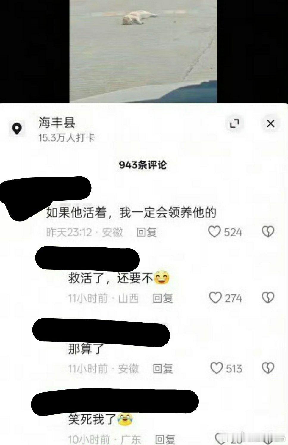 《我一定会领养≠我要领养》