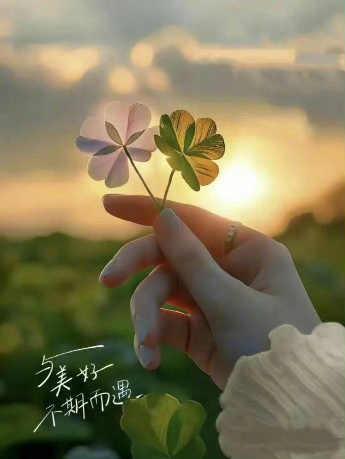 杨绛先生说：“不要去碰一个已婚的女人，她是一个男人的脸面，不要去碰一个已婚的男人