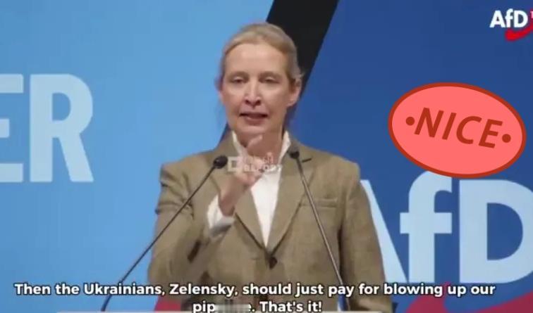 德国政坛炸了锅！魏德尔怒批政府：北溪被炸不敢言，还拼命给乌送钱德国政坛这两天