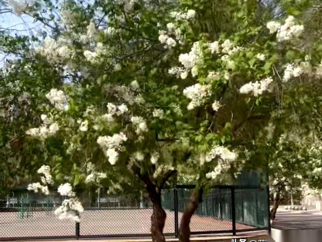 家族群里，我爸刚把凑齐的三千块钱转给表姐，手机屏幕一亮，跳出来的不是一句“收到”