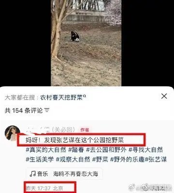 张艺谋在公园挖野菜这才是接近现实中的普通的一个老人的生活，这样才很接地气啊