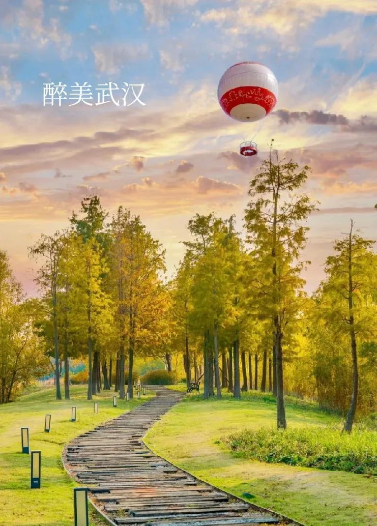 武汉，就是上帝的宠儿，就是天之骄子。你不服不行！武汉身处中国的中部，交