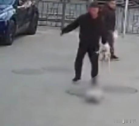 12月30日，青海西宁一男子发现自家狗在外边与一只流浪狗交配，狗主人怒不可遏，他