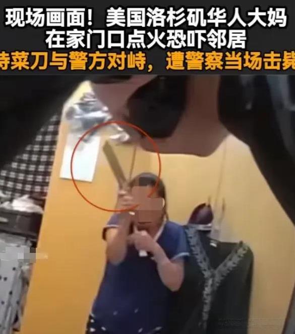 还记得有个大妈出国想抢街头警察的手枪，结果警察直接开枪，不记得是电击枪还是子弹了