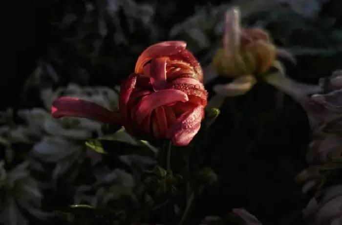 人到中年以后，很多事看开了，也就自然学会了藏起两样东西：自己的软肋，还有那颗容易