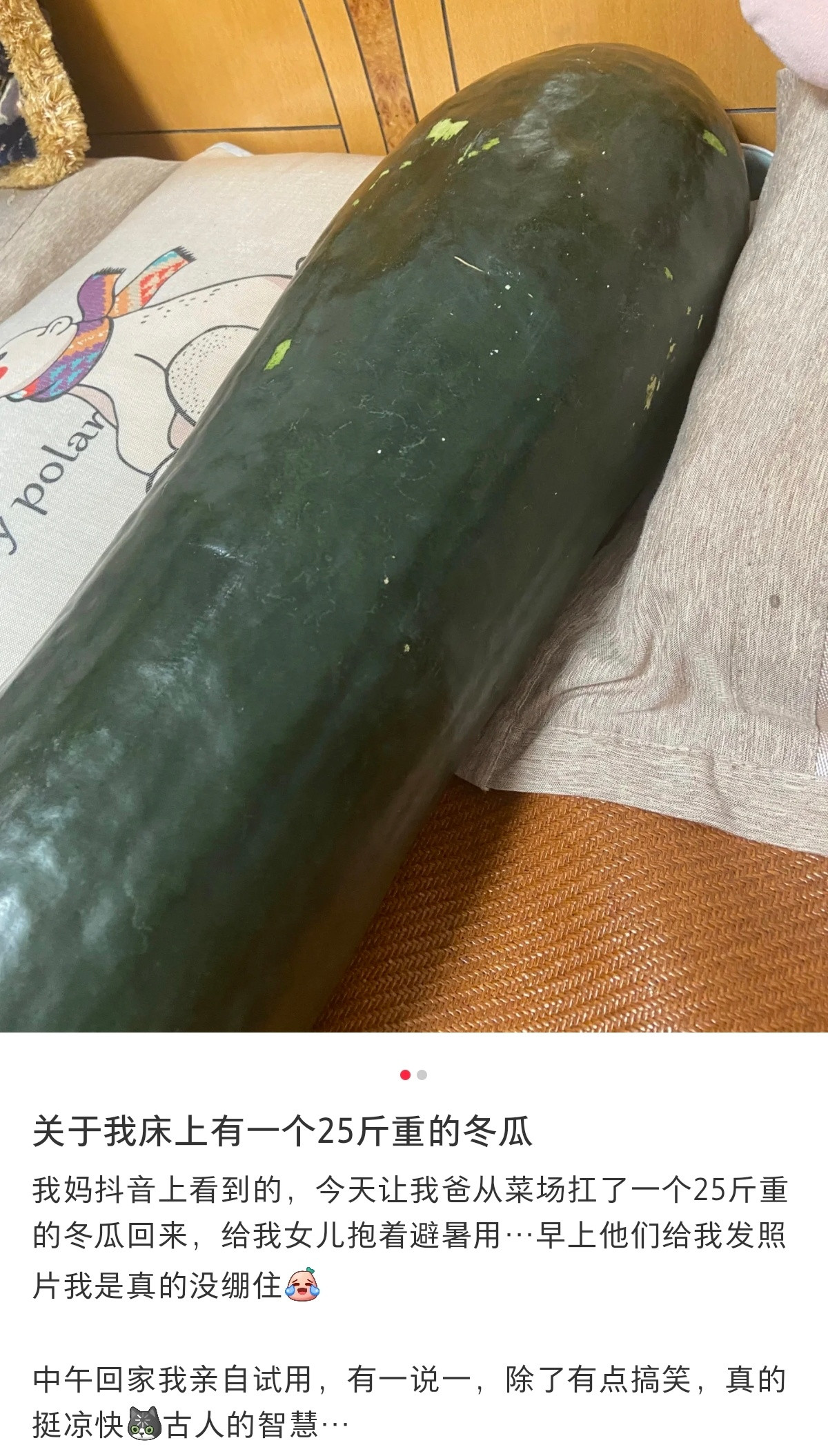 夏日避暑神器，冬瓜​​​