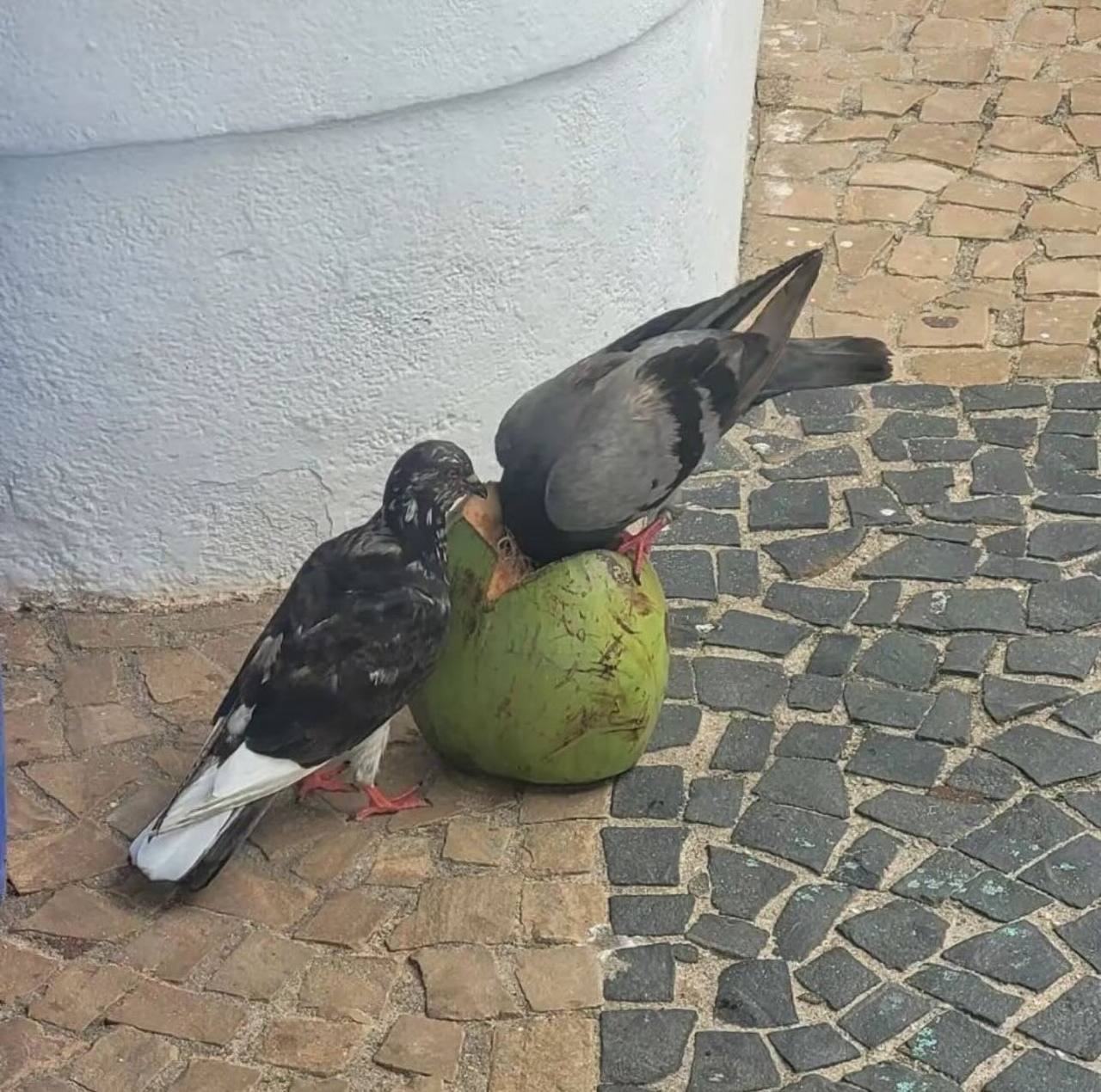 ？