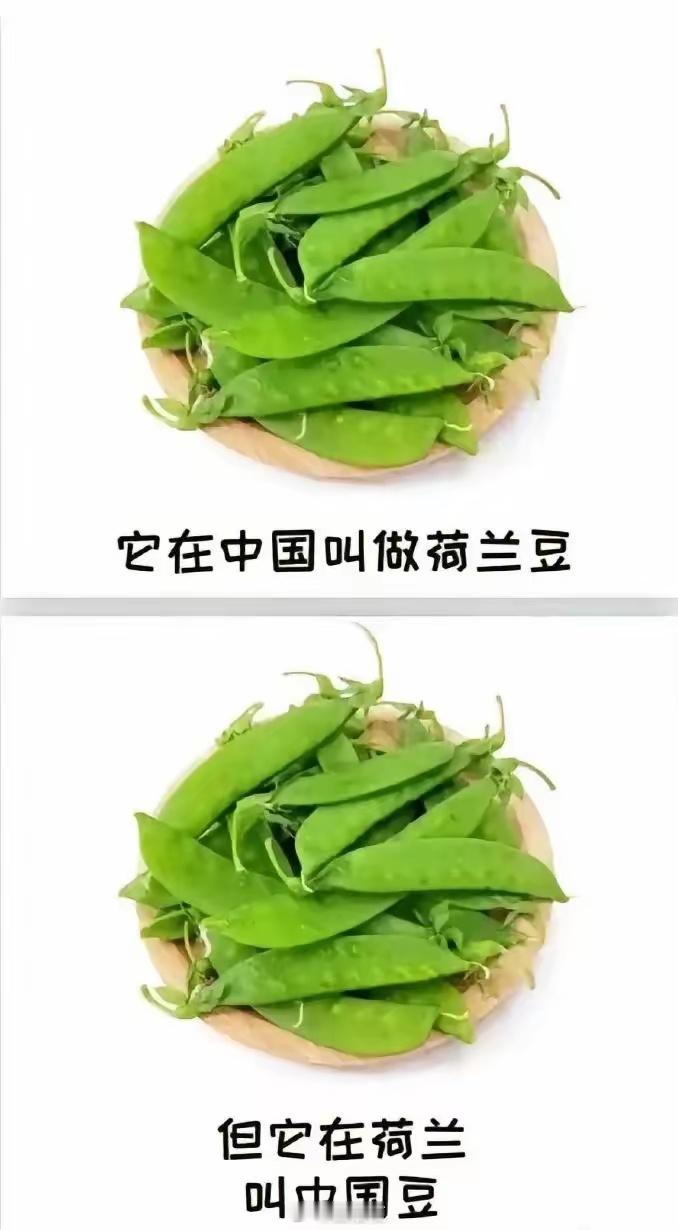 这货到底经历了什么？[doge]