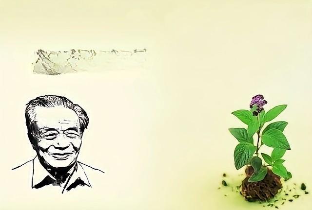 2025年高考6月7日开考，语文考试结束后作文题引发了热议。全国一卷以