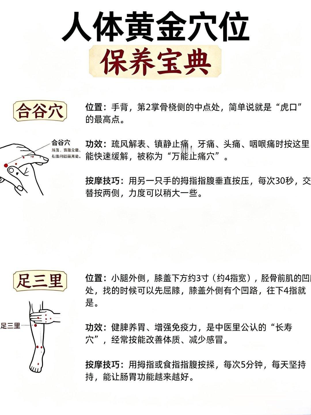 人体黄金穴位保养宝典​​​