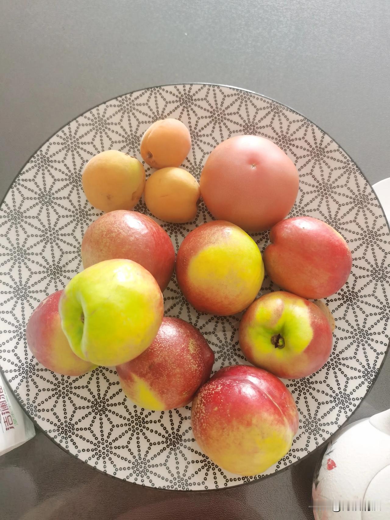 这个叫油桃的水果，是我吃过却最不喜欢吃的水果之一，基本可以排在前三位，另外两位分