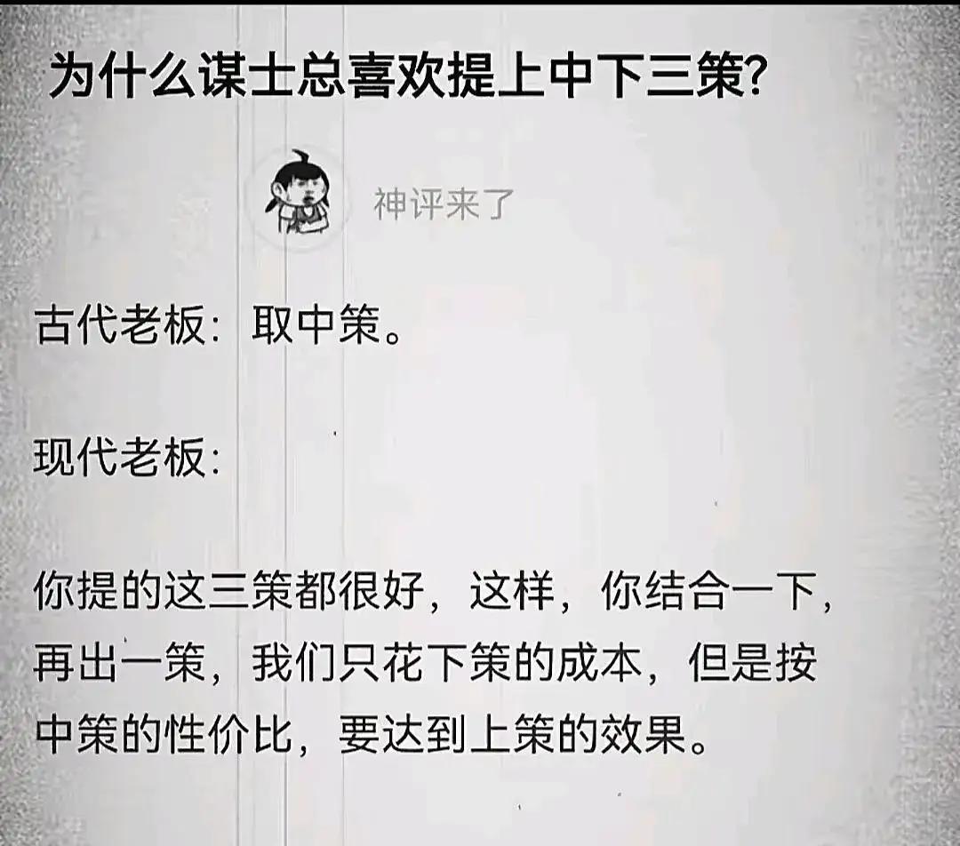 老板脑子有病