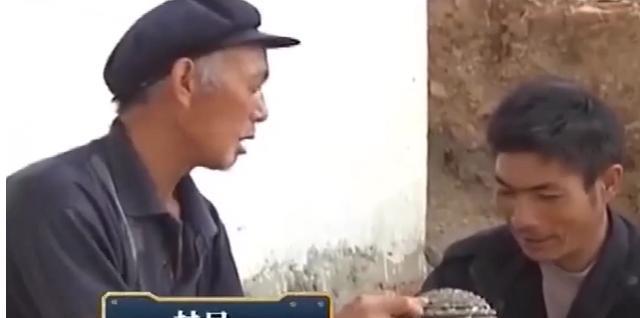 2016年，云南村民捡到长满金子的石头，村里老人说这是传说中的元宝石，有富商出1