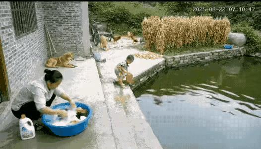 奶奶带孙子逛街的时候，一直饿的皮包骨头的流浪狗来到跟前，孙子抱着狗狗就不撒手，