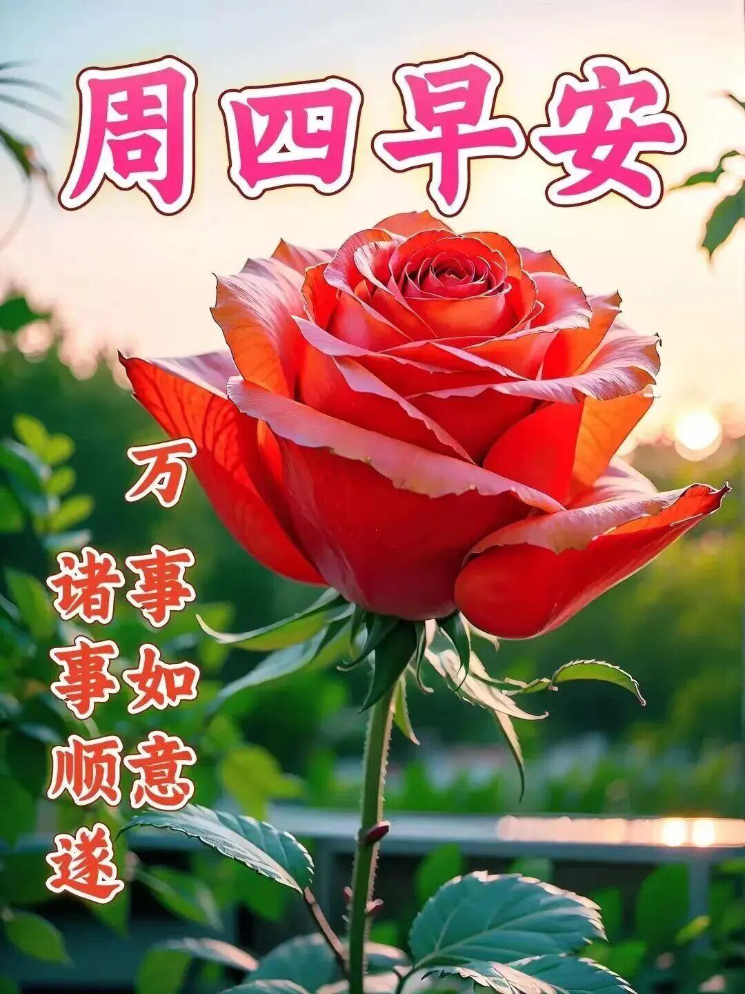 人生如四季轮回，有花开自有花落。不必追悔昨天，不必焦虑明天，把握当下，便是晴天，