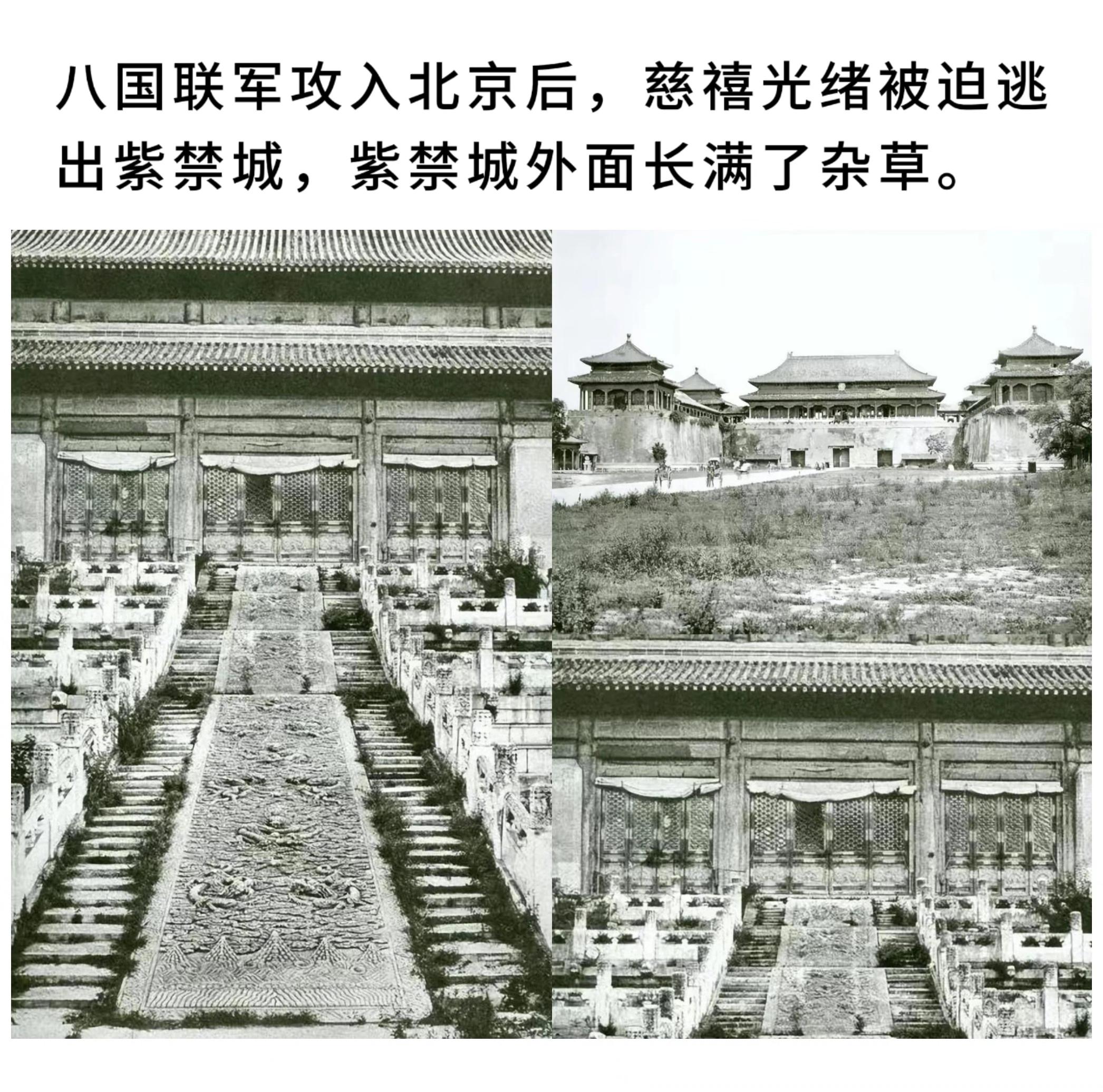 慈禧光绪被迫逃出紫禁城，紫禁城外面长满了杂草。