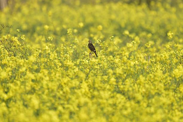 一位高寿老人说：老年人真正的体面，不是有多少钱，而是这句话顺序对了很多人一说