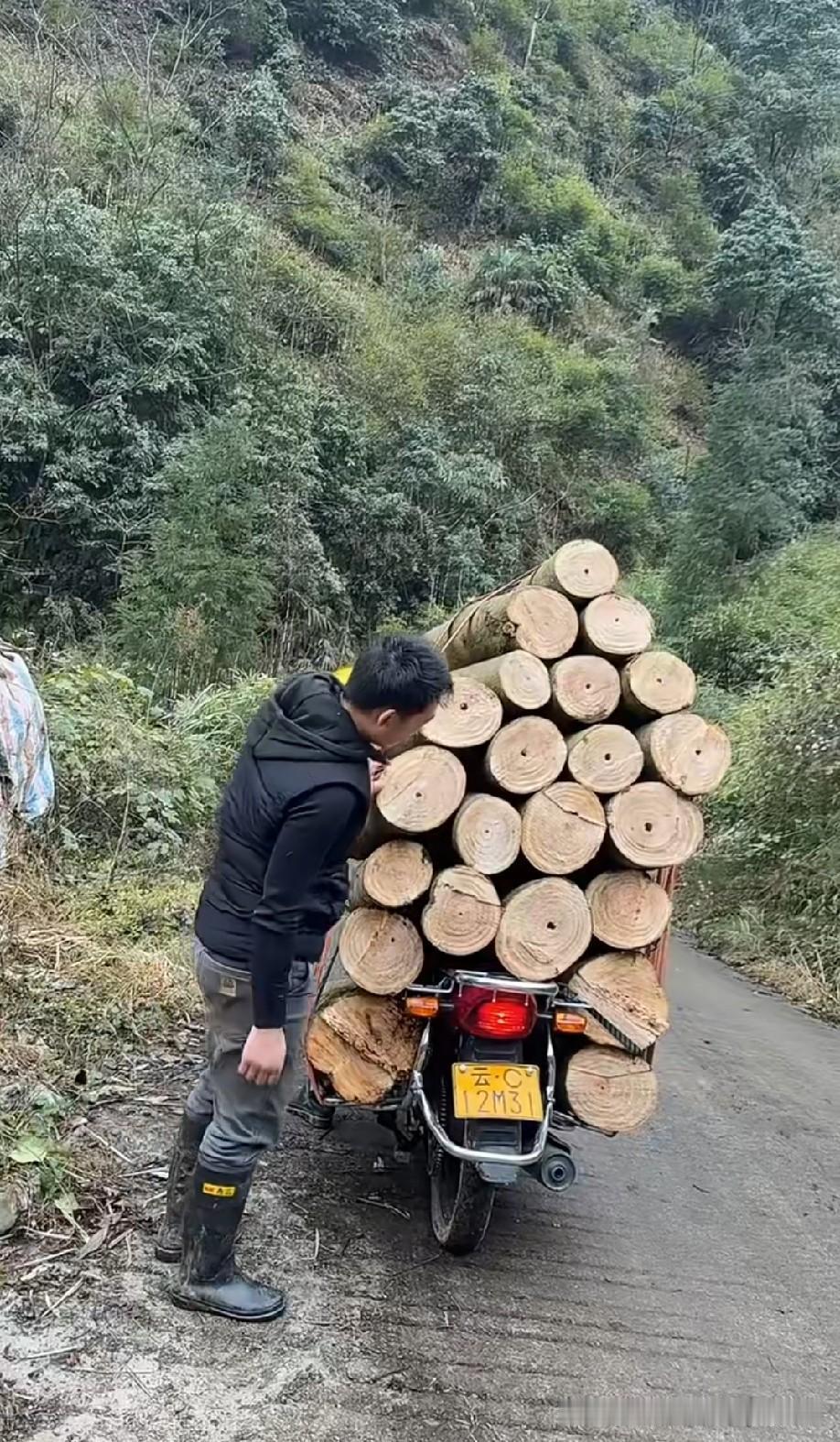 这木头确定不是道具？