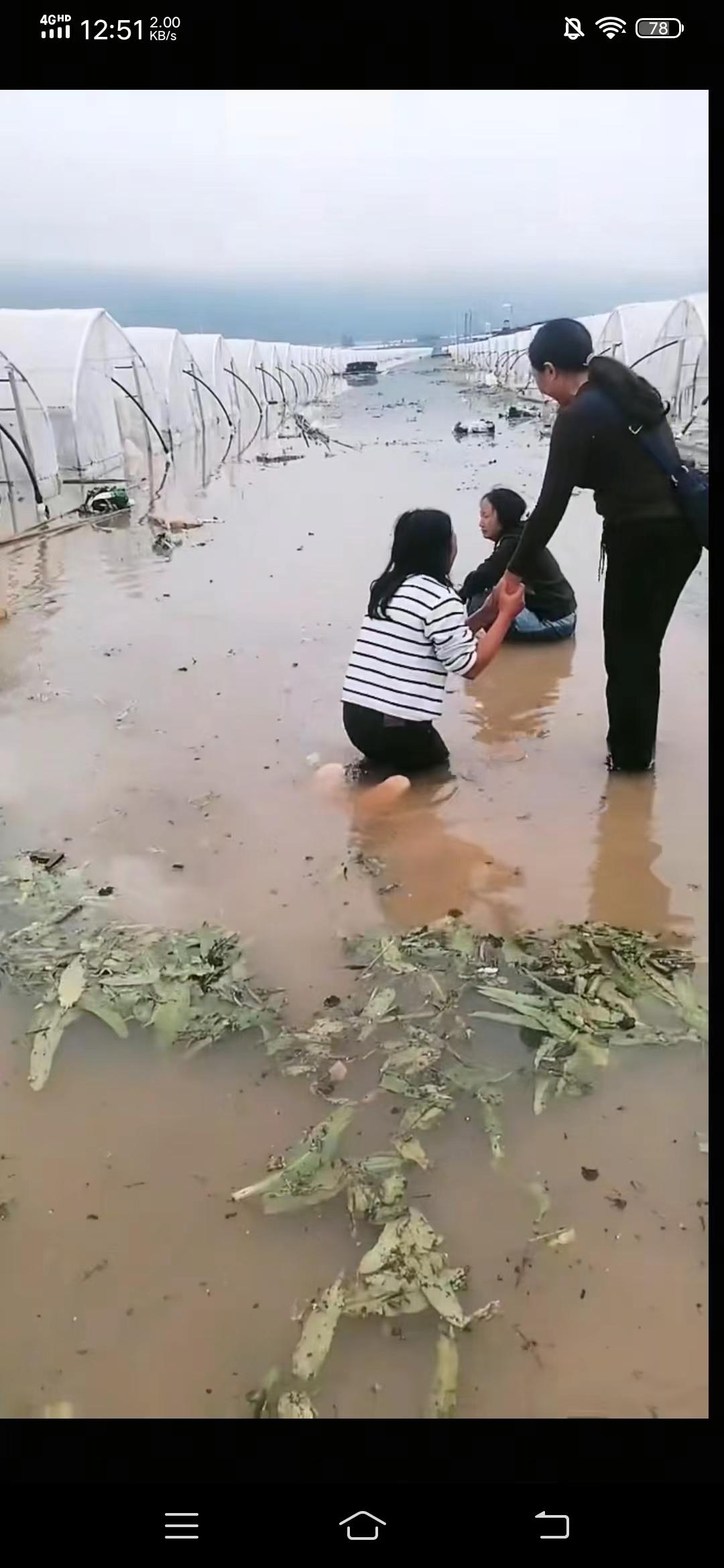 怕的就是天灾人祸前几天陆良县整个大坝子的蔬菜大棚和田地，因连续的暴雨，南盘江洪