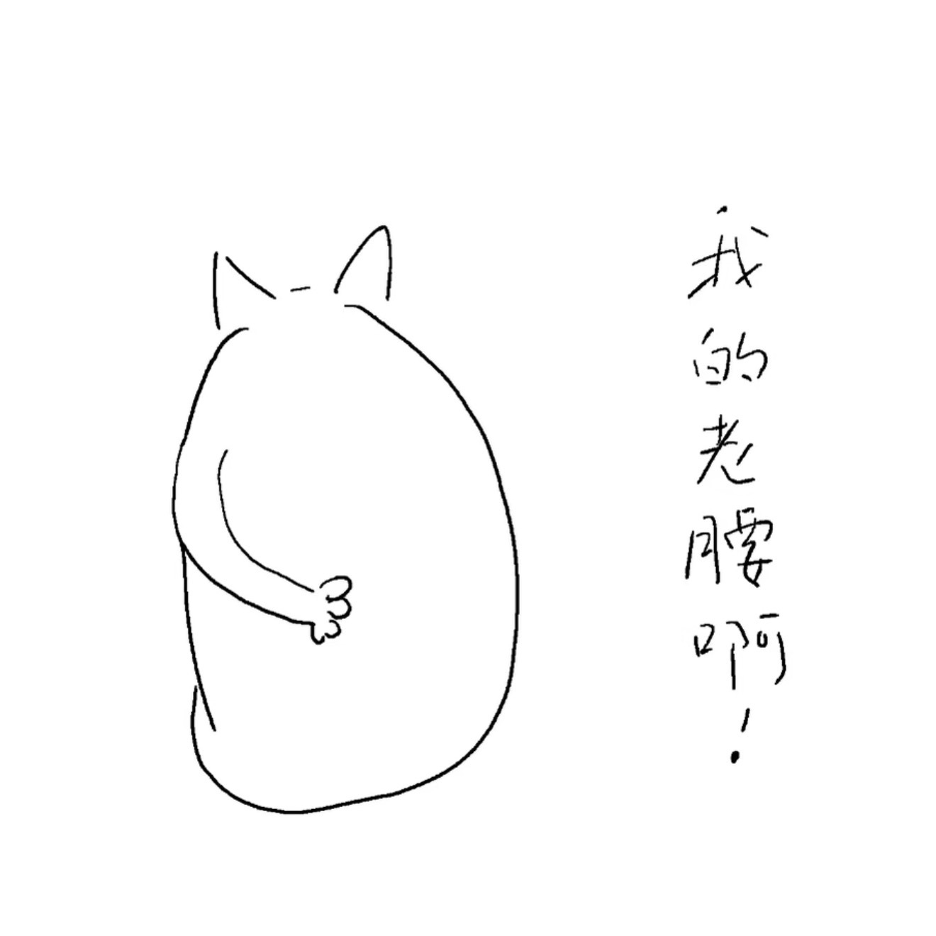 钢板腰！