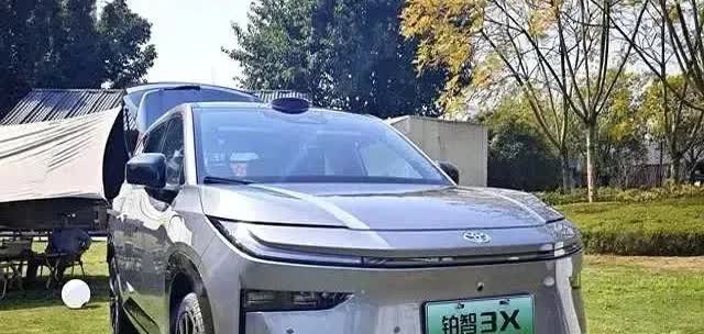 同事卖掉了燃油车，换成了新能源车，开了两年，告诉我们说：1、省钱是真的。电费