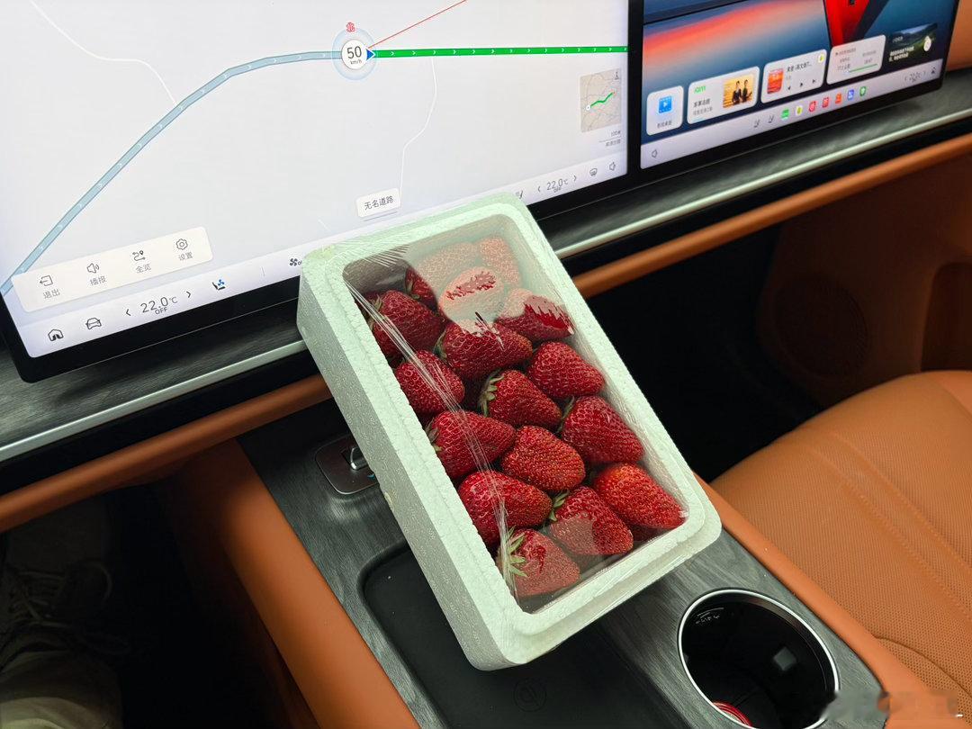 为了试魏牌V9X的电耗，丢人丢大了…路上遇到有卖草莓的，还挺便宜。就买了两盒。荒