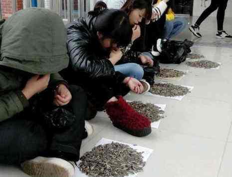 嗑太多瓜子对身体有危害, 伤胃伤肝易早衰