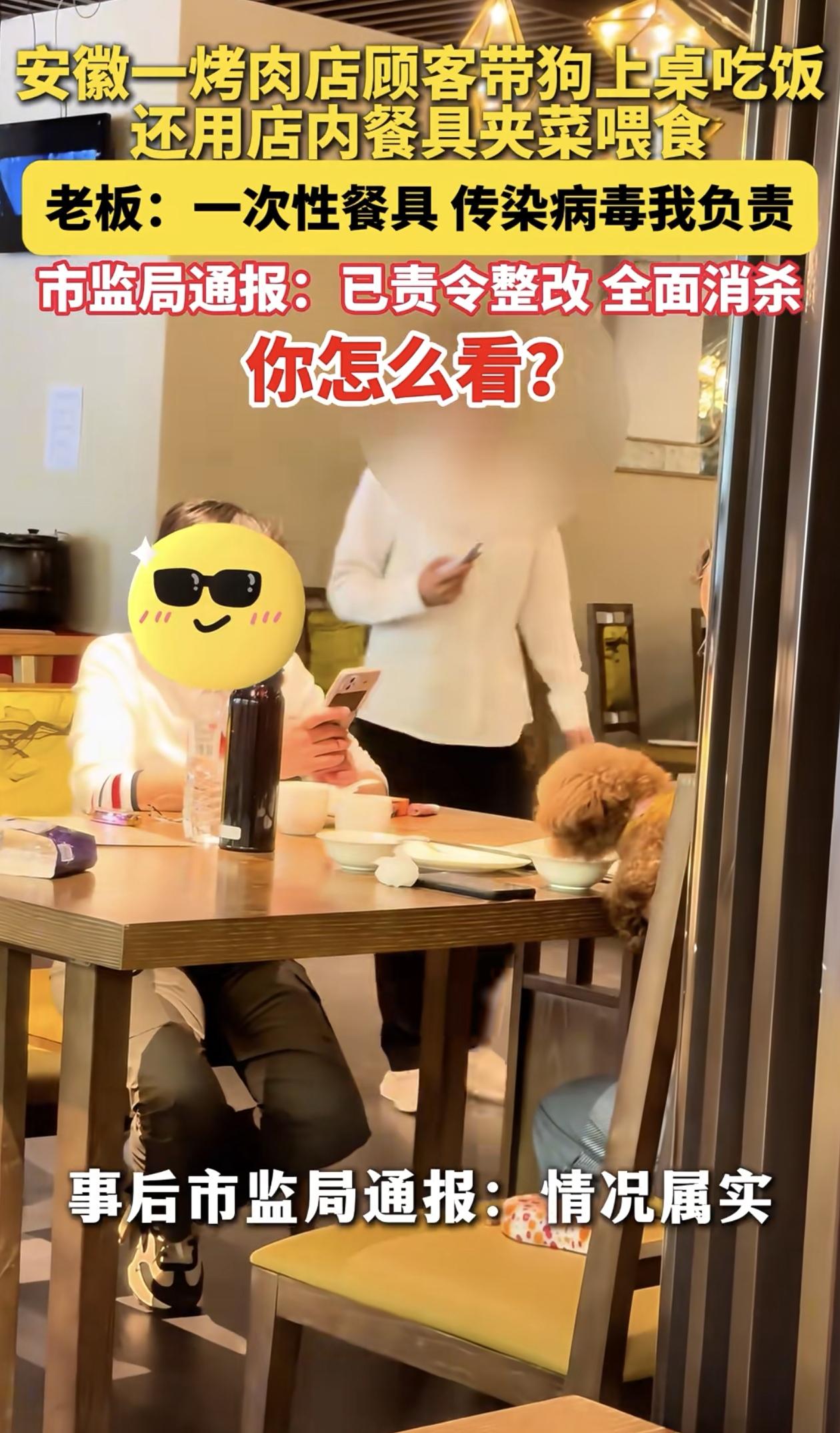 这些宠物主素质真是低到令人无法想象不可理喻。