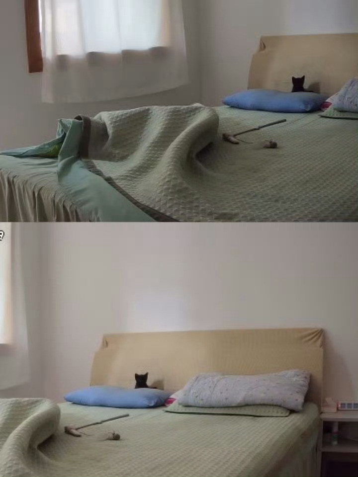 小猫把自己睡成小手套了以防你没看过小猫把自己睡成小手套[捂脸哭]​​​