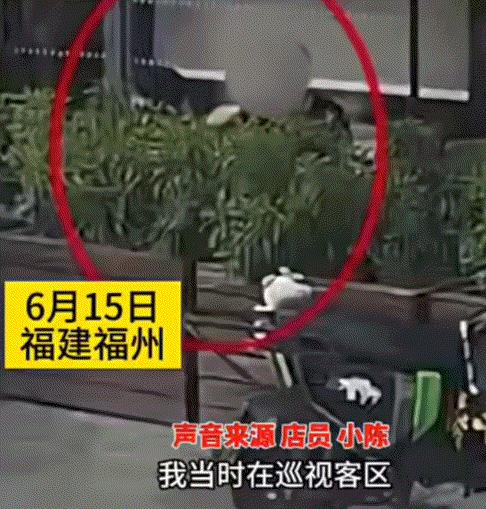 福建福州，一咖啡店店员在店外整理时，捡到一个手提包，打开包后发现里面有100万元