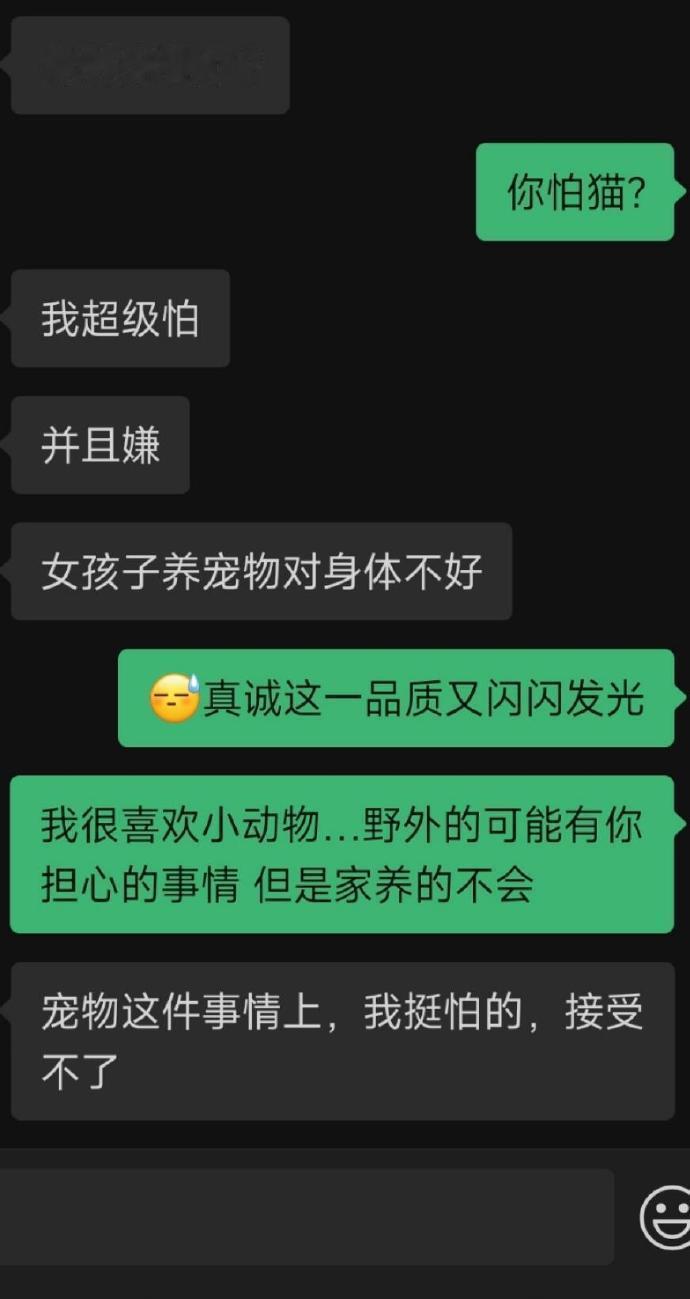 相亲奇遇记，关于养宠物​​​