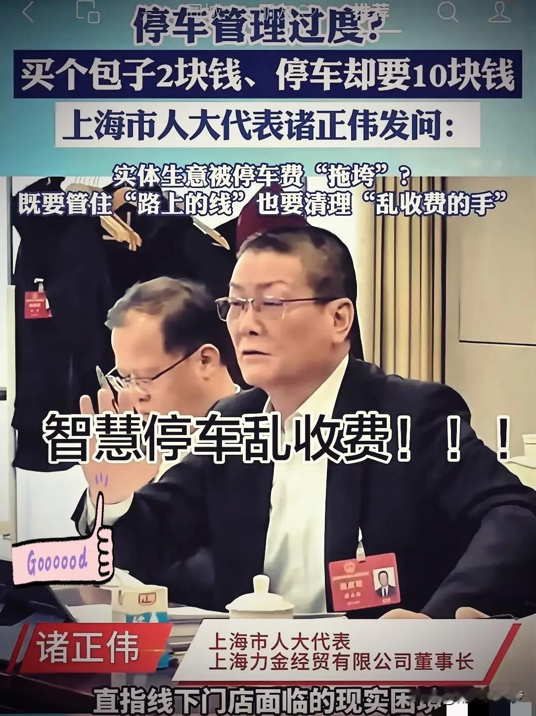 上海人大代表诸正伟这一问，像把刀，直接捅穿了城市停车乱象的最后一层遮羞布。老