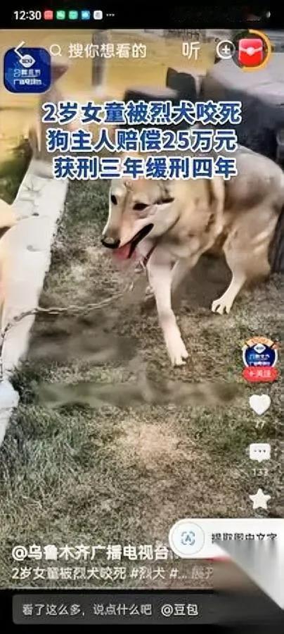 养烈性犬的人到底图啥？真不是一句“爱狗”就能糊弄过去的。那些明知是禁