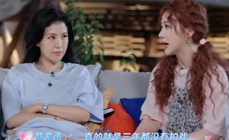 陈紫函为了戴向宇三年没有拍戏，为了要孩子做了十二次试管，陈紫函：“那三年，起码做