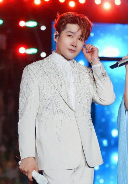 陈雅森2025铜仁站巡回演唱落幕金曲与群星闪耀全场