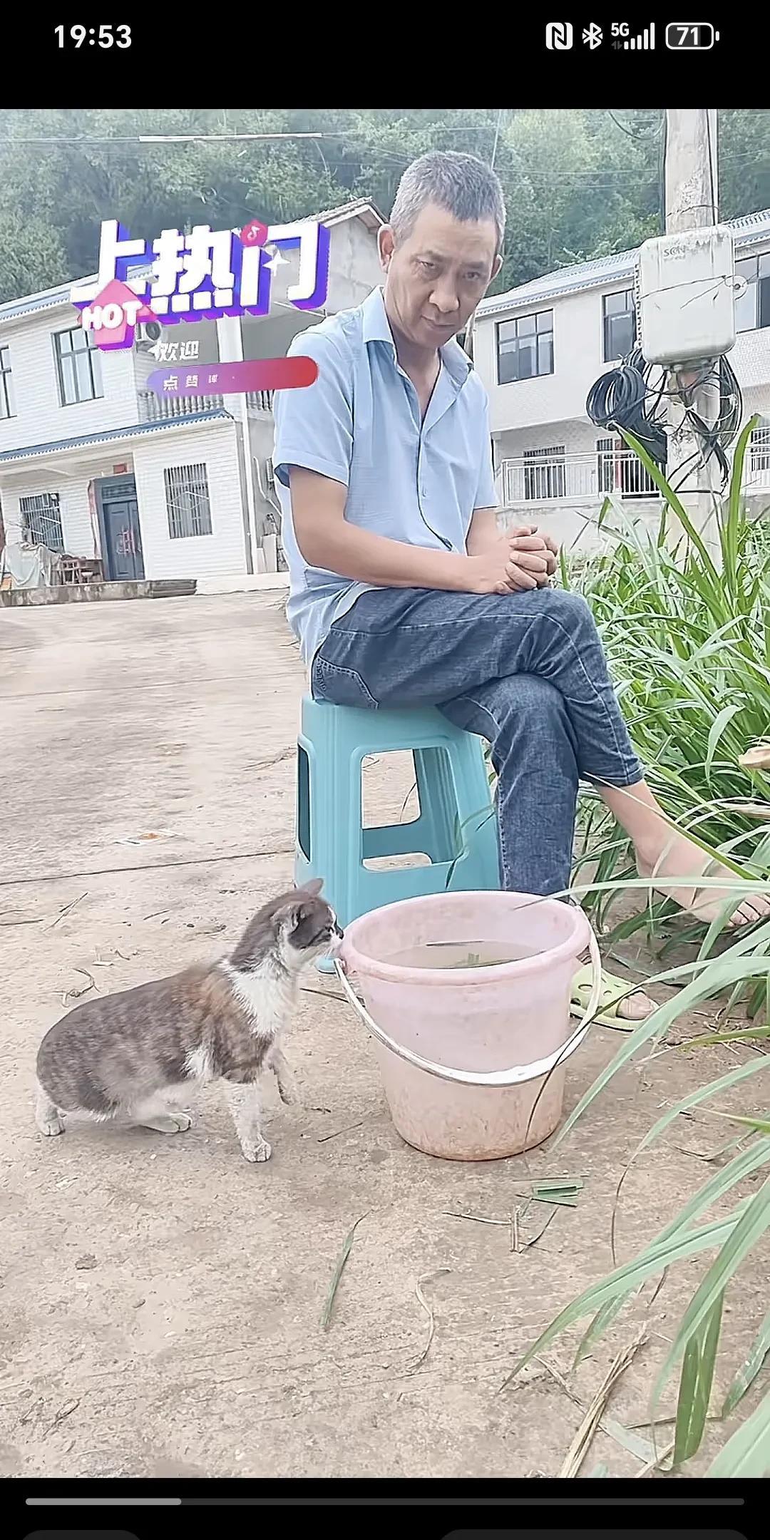 小猫轻手轻脚的走到水桶旁，小心翼翼的趴上水桶，看着一条大鱼，毫不犹豫抓住就跑了，
