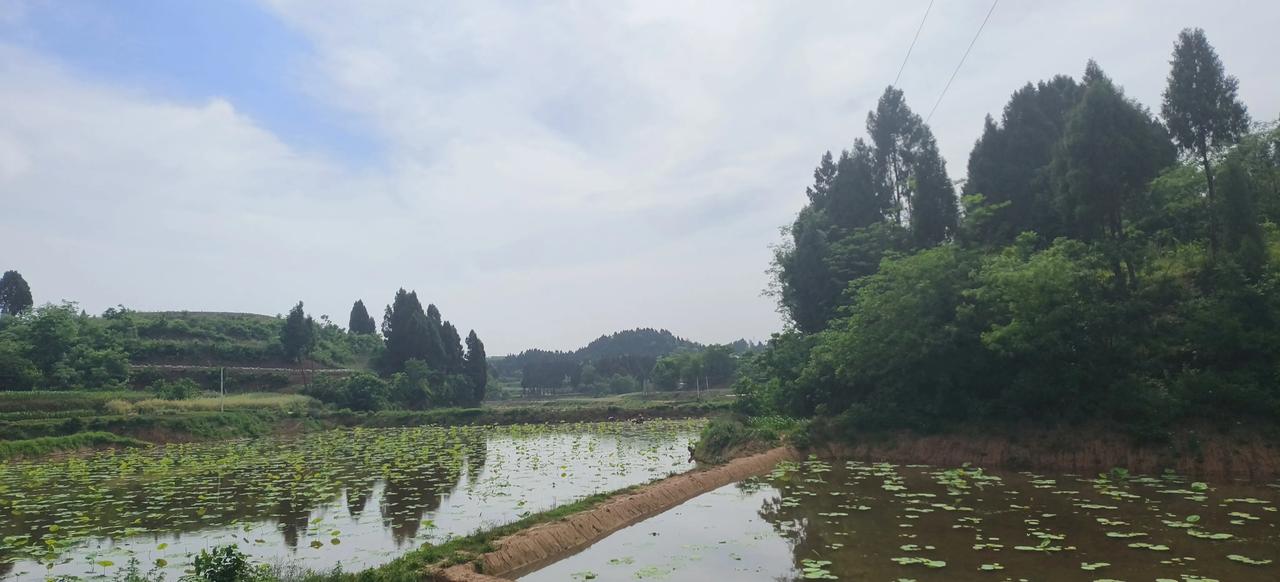 每天的太阳都是新的每天的心情都是好的每天的感受同步美好