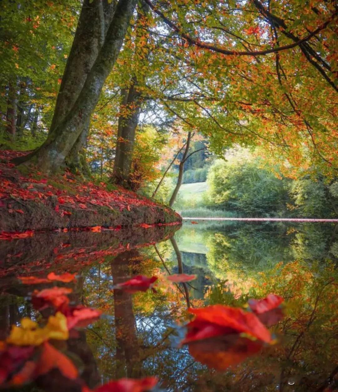 醍醐灌顶的一段话：“除了至亲，永远不用刻意去和任何人修复关系，成年人之间，得罪