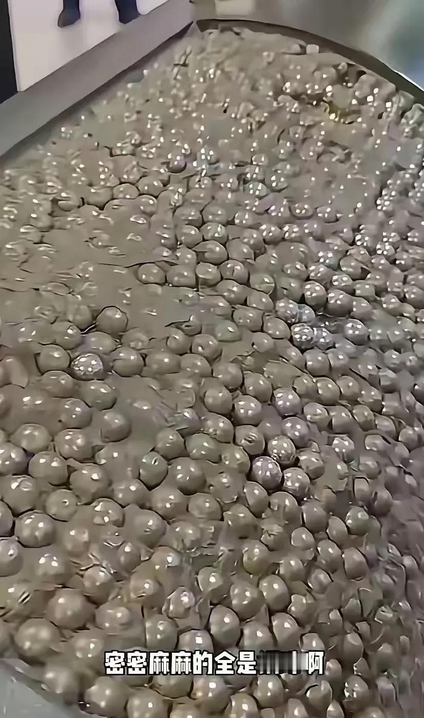 这是现在导弹的弹体结构满满的全是钢珠，满满的杀伤力完全和我们想象的不一样因