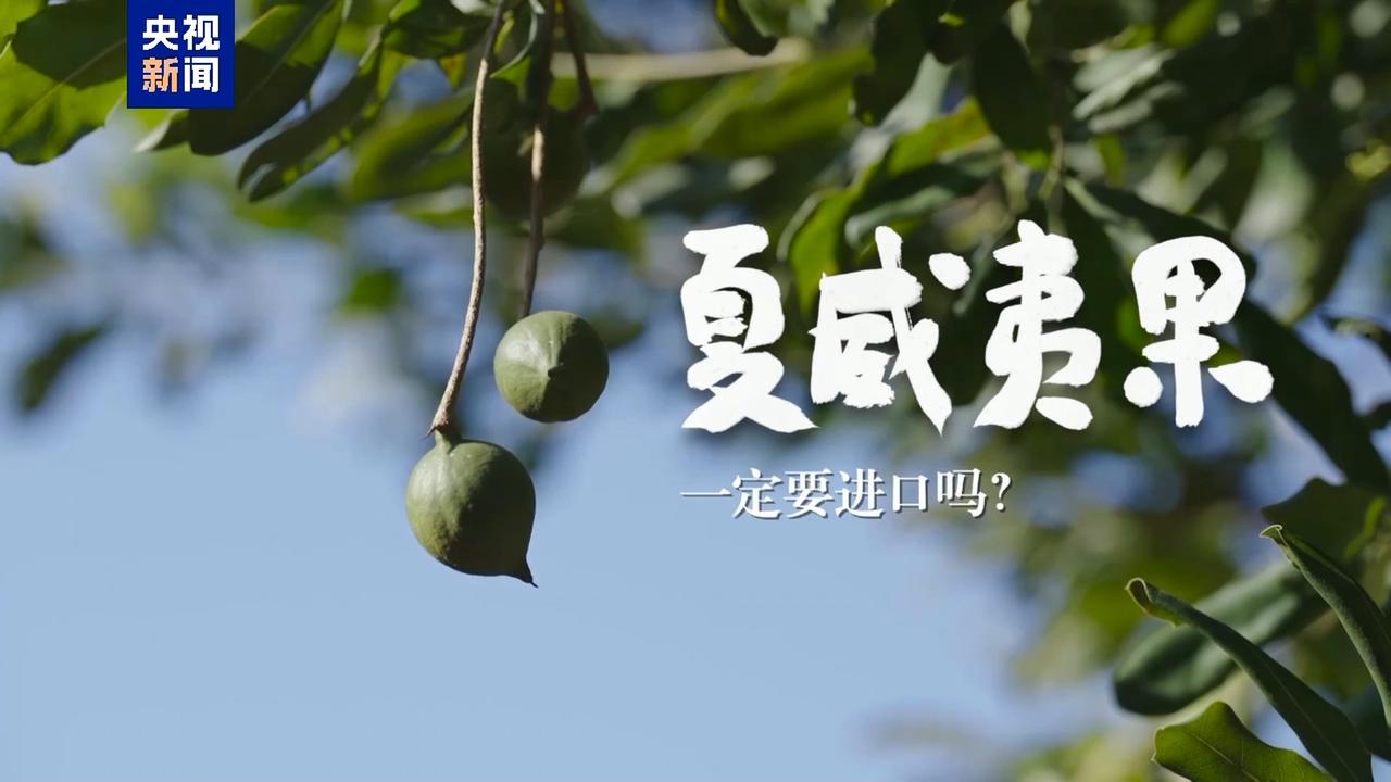 你以为的进口尖货，其实早已国产了你是不是还在为买一罐“进口”牛油果多花三倍价