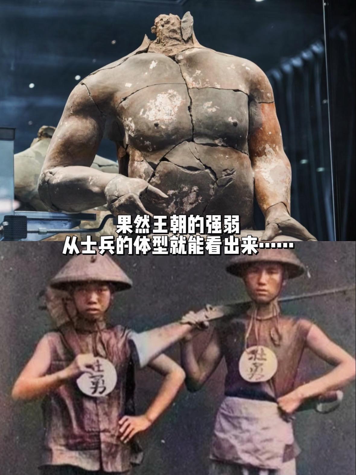 果然王朝的强弱从体型就能看出来。不同于清兵的瘦弱，没有力量感，秦兵多以...