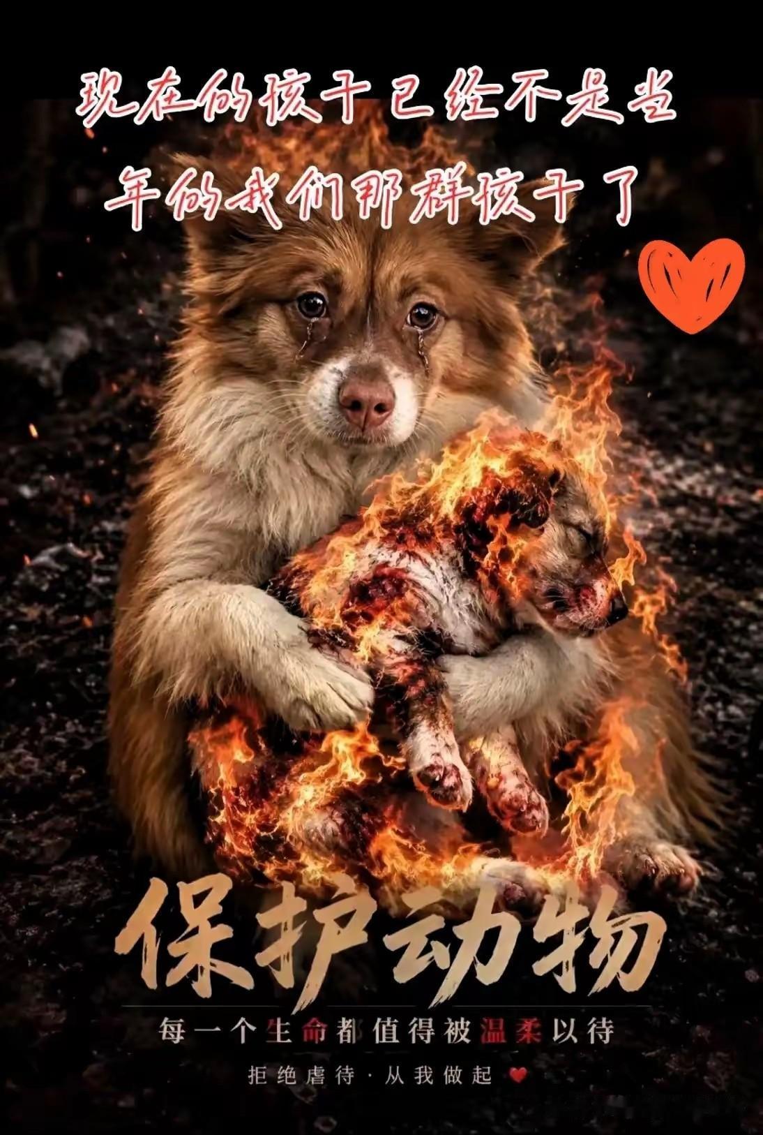 母狗到死都没敢咬人，它幻想着几个恶魔般的孩子会放过它的孩子，显然它失望了眼睁睁看