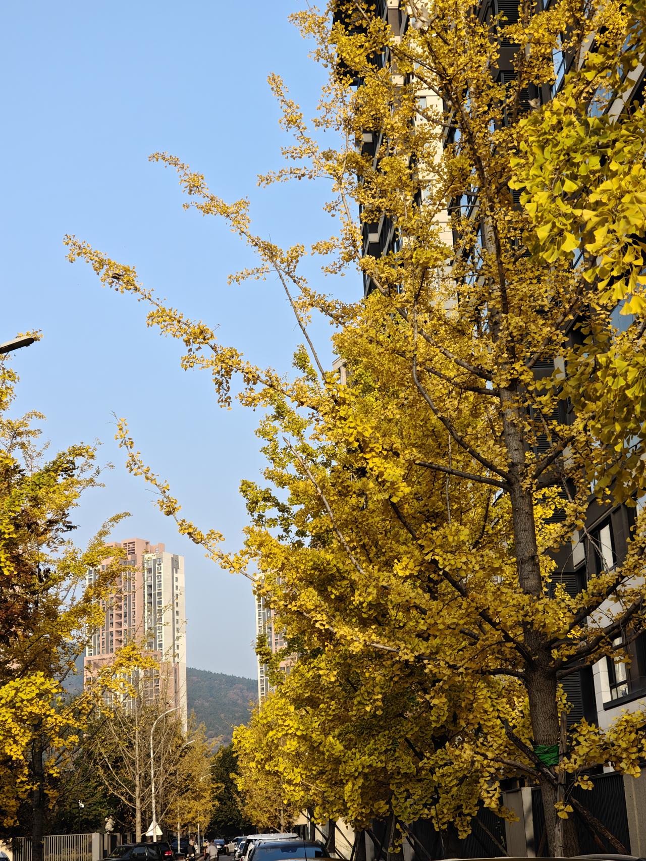 为什么管理层对大股东减持股份不很在意？很多股民对股票上市后，大股东拼命减持股份，